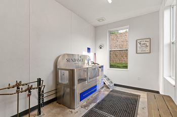 Pet Spa
